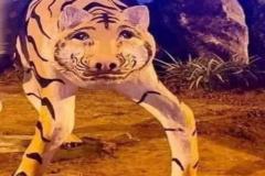 Ảnh con hổ meme hài hước