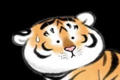 Ảnh meme con hổ hài hước