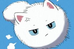 1_anh-meo-chibi-anime-cute-1
