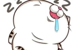 Ảnh mèo béo chibi anime đáng yêu