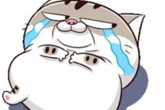 Ảnh mèo béo chibi anime đáng yêu