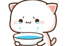 Ảnh mèo buồn cute