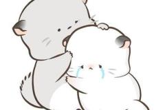 Ảnh mèo buồn cute