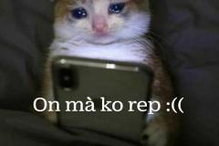 Ảnh mèo buồn meme tủi thân