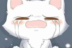 Ảnh mèo buồn chibi