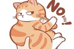 anh-meo-chibi-map-cute-xinh-1