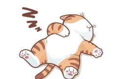 Ảnh mèo chibi ngủ