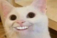 anh-meo-cuoi-deu-meme-cute-1