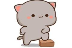 Ảnh mèo đứng chibi dễ thương