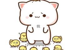 Ảnh mèo đứng chibi dễ thương