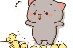 Ảnh mèo đứng chibi dễ thương