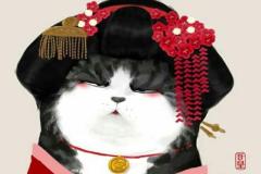 1_anh-meo-hoang-thuong-cute-1