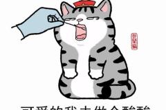 1_anh-meo-hoang-thuong-cute-dep-1