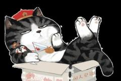 anh-meo-hoang-thuong-cute-dang-yeu-1