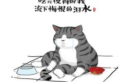 anh-meo-hoang-thuong-cute-nhat-1