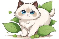 Ảnh mèo hoạt hình cute