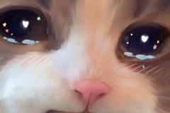 1_anh-meo-khoc-buon-cute-1