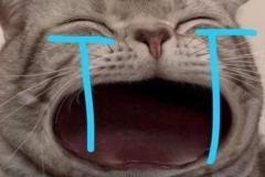 meme-anh-meo-khoc-thet-hai-1
