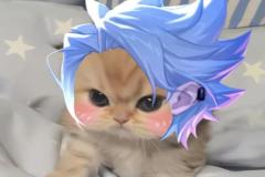 1_anh-meo-lien-quan-nekro-cute-1