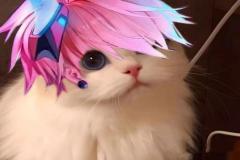 anh-meo-lien-quan-bright-cute-1