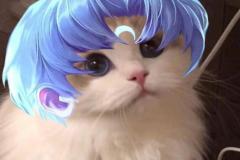 anh-meo-lien-quan-neko-1