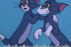 Ảnh mèo tom và jerry meme cực hài hước