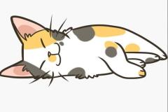 Ảnh mèo tam thể chibi anime cực đáng yêu