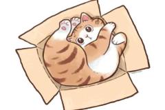 Ảnh mèo tam thể chibi anime cực đáng yêu