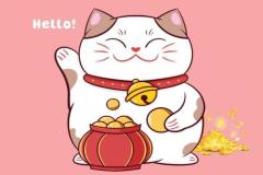 anh-meo-than-tai-cute-1