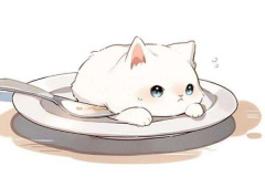 Ảnh mèo trắng anime cute