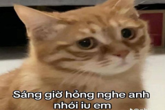 Hài hước