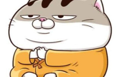 Ảnh mèo xám chibi anime cute