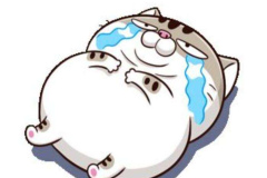 Ảnh mèo xám chibi anime cute