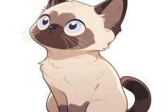 Ảnh mèo xiêm chibi, anime