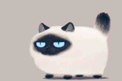 Ảnh mèo xiêm chibi, anime