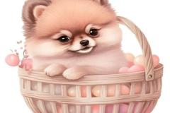 1_anh-cho-phoc-soc-chibi-1