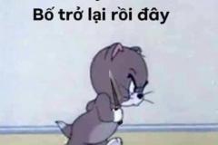 Ảnh mèo tom và jerry meme cực hài hước