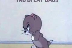 Ảnh mèo tom và jerry meme cực hài hước