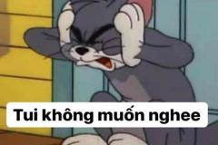 Ảnh mèo tom và jerry meme cực hài hước