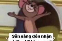 Ảnh mèo tom và jerry meme cực hài hước