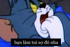 Ảnh mèo tom và jerry meme cực hài hước