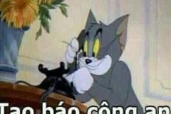 Ảnh mèo tom và jerry meme cực hài hước