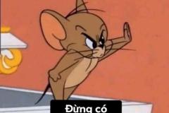 Ảnh mèo tom và jerry meme cực hài hước