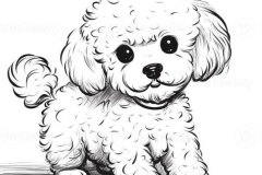 Chú cún poodle hình vẽ siêu đẹp