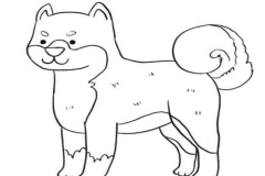 Hình vẽ chó shiba cute