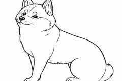 Hình vẽ chó shiba cute