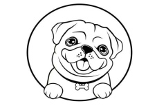 Ảnh vẽ chó pug cute