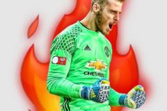 LODO DLS DE GEA
