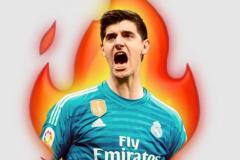 LOGO DLS THIBAUT COURTOIS
