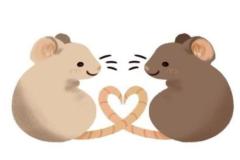Ảnh đại diện con chuột chibi cute